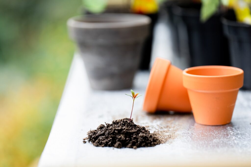 Gartenarbeit Gartengeräte Töpfe Zubehör Erde Pflanze Gartengeräte übersichtlich lagern - So gelingt es